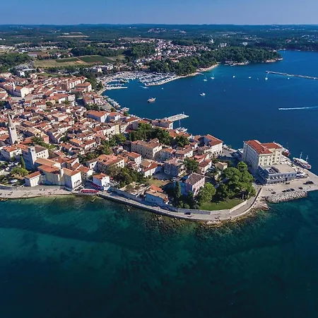 Pet Friendly In Porec
