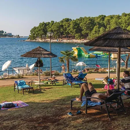 Pet Friendly In Porec